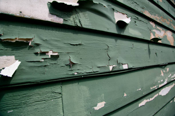 Best Siding Painting and Refinishing  in Pine Mountain Clu, CA