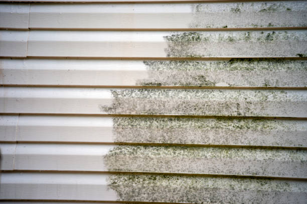 Best Stucco Siding  in Pine Mountain Clu, CA