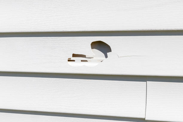 Best Engineered Wood Siding  in Pine Mountain Clu, CA